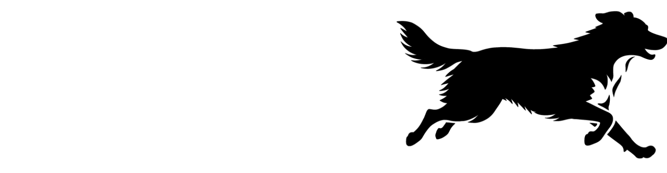 cropped-Comida-para-perros-La-Unica-3.png